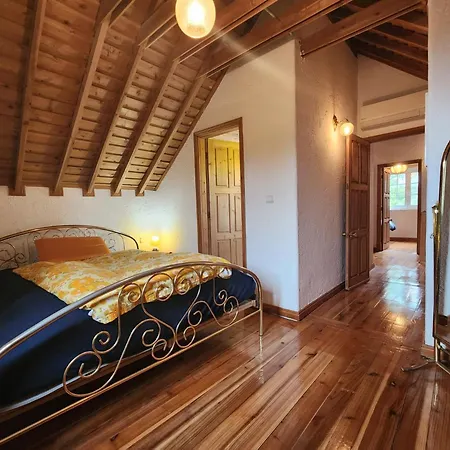 Lomba Bela Vista Holiday home Lomba (Flores)